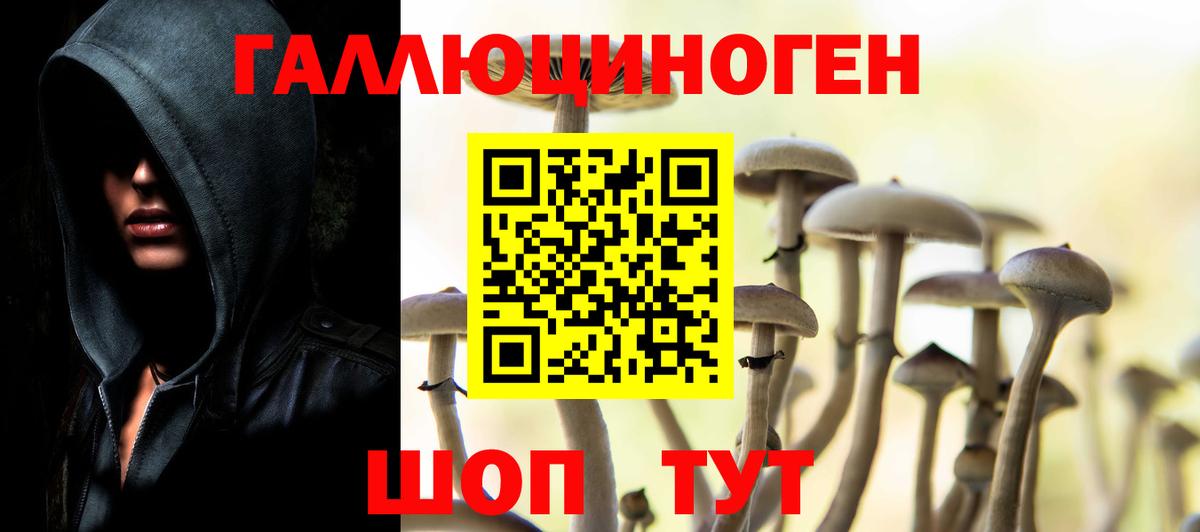 Псилоцибиновые грибы GOLDEN TEACHER  Вход с VPN  Псилоцибиновые грибы MAGIC MUSHROOMS  Ступино 